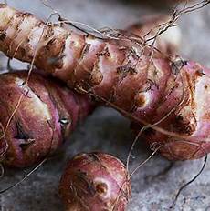 Jerusalem Artichoke Extract