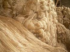 Jute Fiber