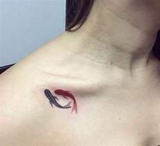 Koi Fish Food