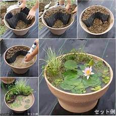 Koi Fish Food