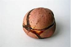 Kola Nut