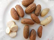 Kola Nut