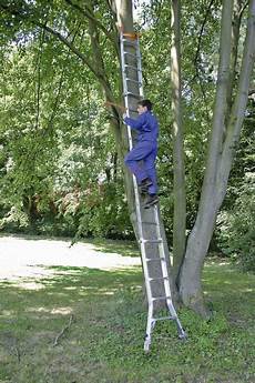 Ladders Scaffoldings