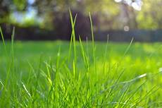 Lawn Irrigation
