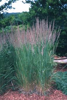 Lawn Irrigation