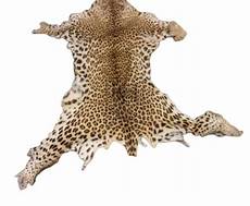 Leopard Skin