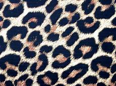 Leopard Skin