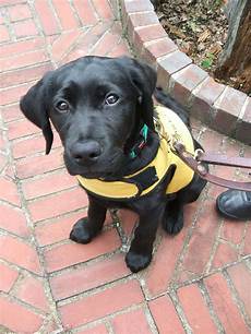 Life Vest