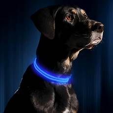 Lighted Dog Collar