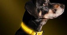 Lighted Dog Collar