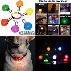 Lighted Dog Collar