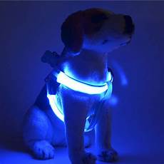 Lighted Dog Collar