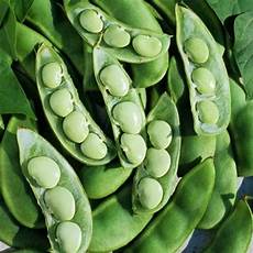 Lima Beans