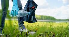 Litter Cleanup