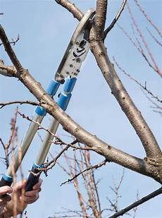 Lopping Shears
