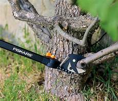 Lopping Shears