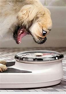 Losing Weight