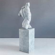 Male Torso