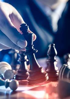 Management Consulting Services