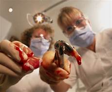 Medical Dental
