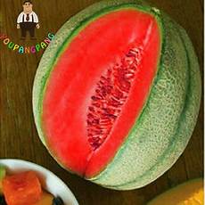 Melon Seeds