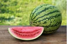Melon Seeds