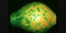 Micronutrients