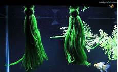 Mop Yarns