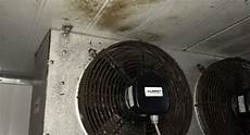 Mould Cleaning Equipment