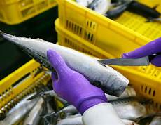 Mould Design Processing Services