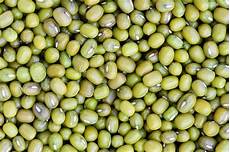 Mung Beans