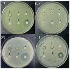 Nano Particles