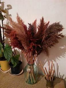 Natural Paint