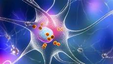 Neurological Disorders