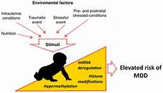 Neurological Disorders