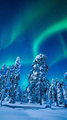 Night Lights