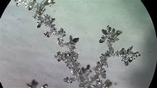 Nitrate