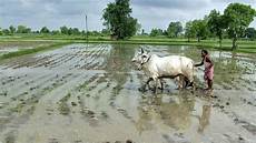 Normal Ploughs