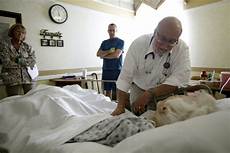 Nursing Bed