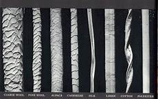 Nylon Staple Fiber