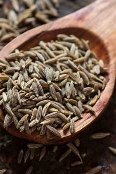 Oil Seeds