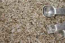 Onion Seeds