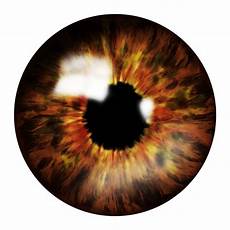 Optical Lenses