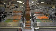 Optical Sorting