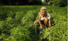 Organic Agriculture