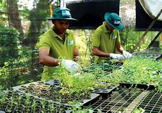 Organic Agriculture