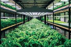 Organic Agriculture