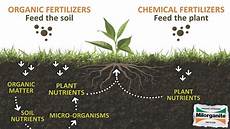 Organic Chemicals