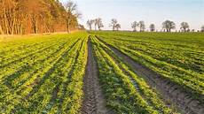 Organic Foods
