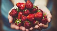 Organic Fruit